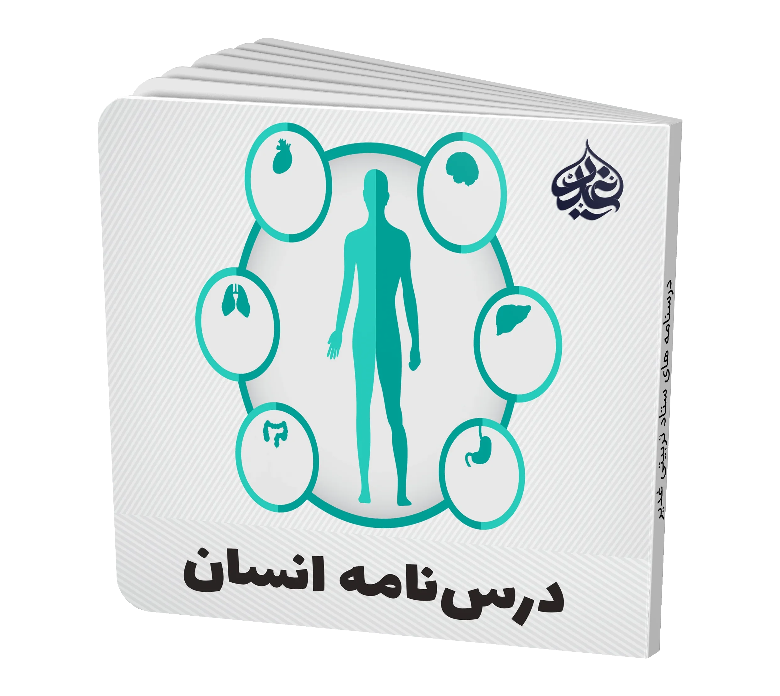 انسان