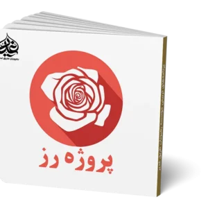 بازی معمایی پروژه رز