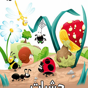 اردوی حشرات